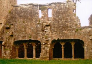 cloister garth bective abbey